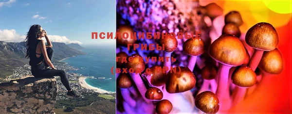 MESCALINE Алзамай