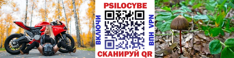 Галлюциногенные грибы ЛСД  МЕГА маркетплейс  Кемь 
